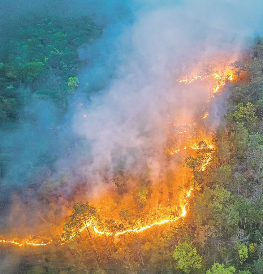 Hiçbir ülke güvende değil - Resim : 1