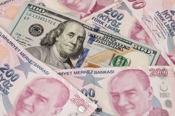 Paranın fonksiyonları nelerdir? - Sayfa 4
