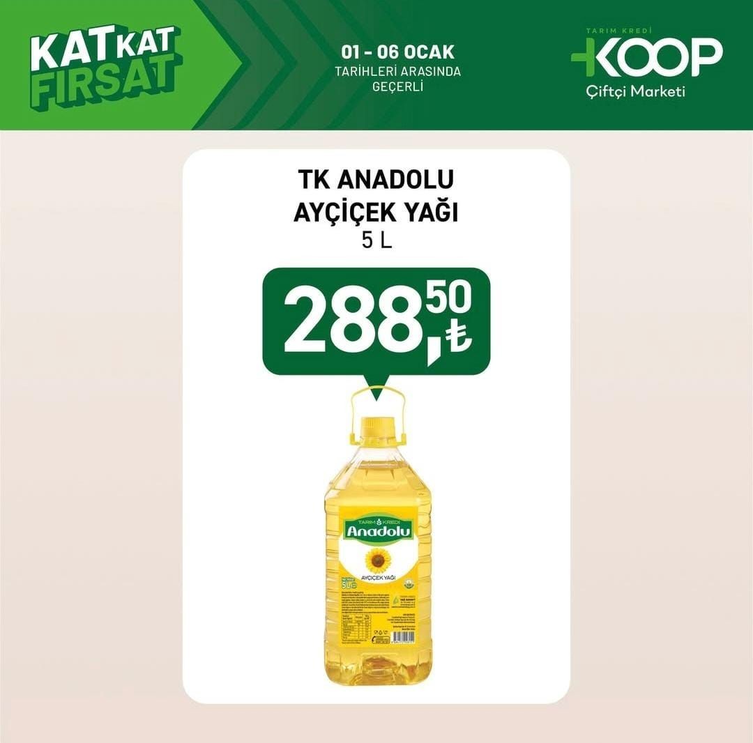 Türkiye Tarım Kredi Kooperatif Market 01-06 Ocak 2025 indirim kataloğu yayımlandı! - Sayfa 4