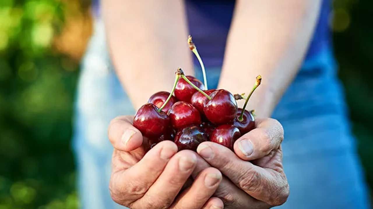Güzel olan sadece tadı değil. Bu meyvenin faydalarını duyunca şaşıracaksınız! Tam bir vitamin deposu - Sayfa 1