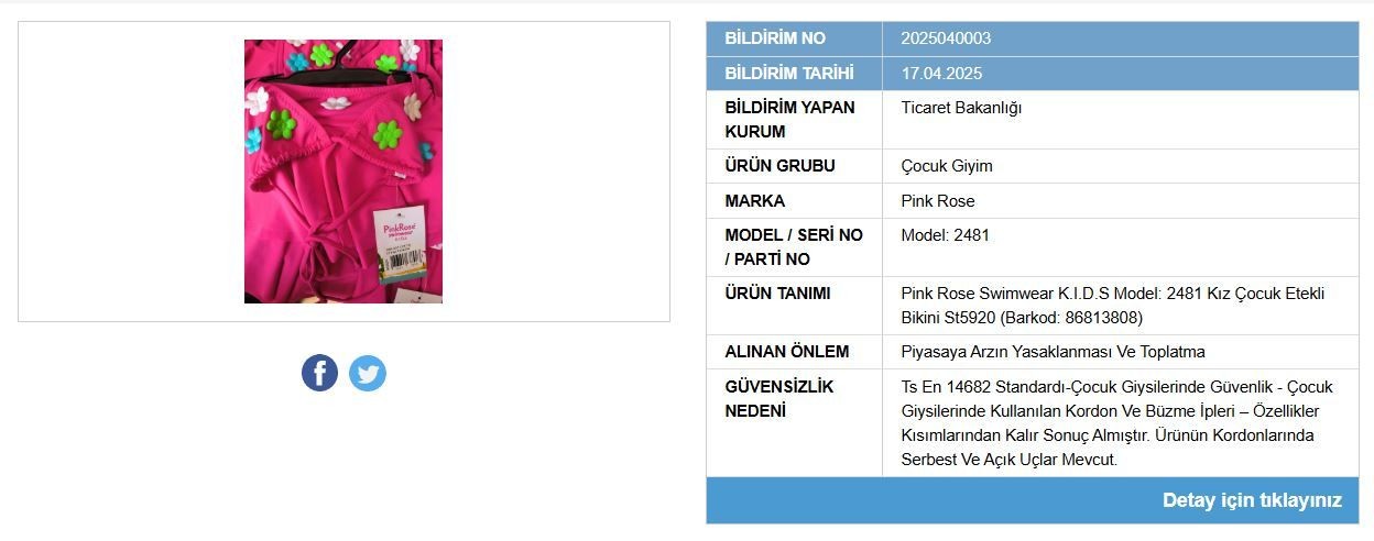 Piyasadan toplatılıyor! Ticaret Bakanlığı bazı plaj ürünlerinin satışını yasakladı - Sayfa 5