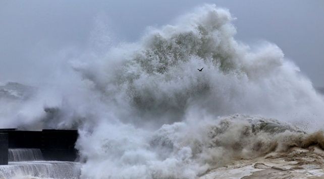 İstanbul'da bu 12 ilçe tsunami tehlikesiyle karşı karşıya! 5 dakikada sular altında kalabilir! - Sayfa 3
