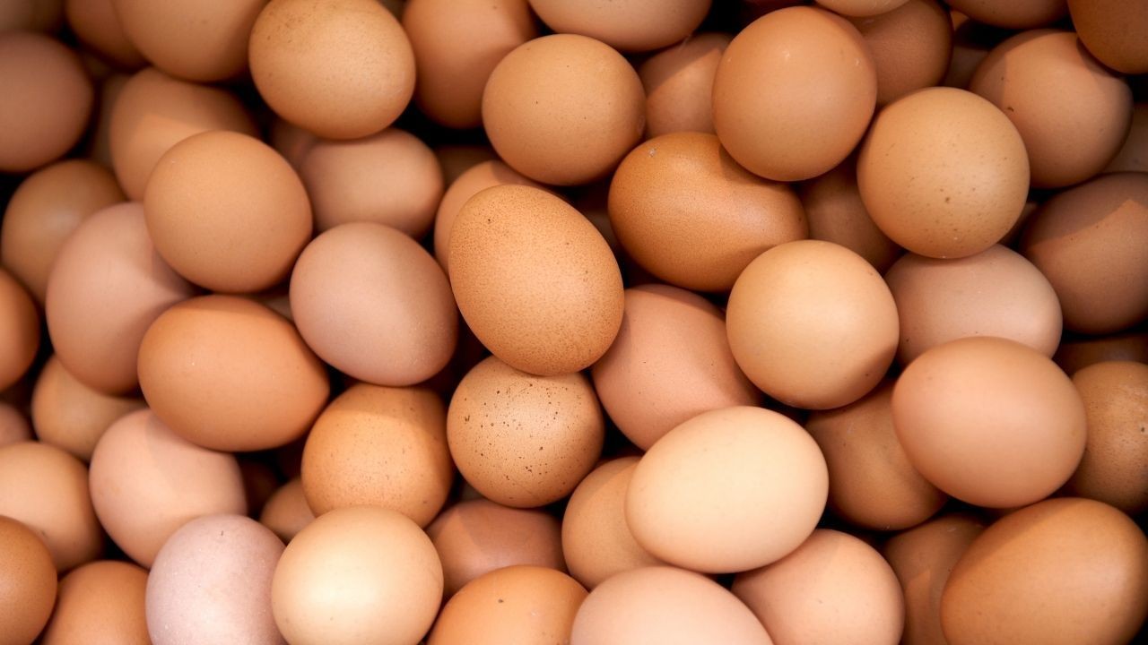 Yumurta fiyatları düşüşe geçti! Alternatif üretim adı altında satışlarda makas aralığı arttı - Sayfa 3