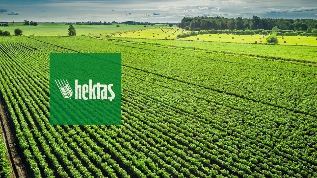 Yatırımcıların en çok tercih ettiği hisse belli oldu! 1 milyon yatırımcıyı sadece 2 hisse geçti - Sayfa 15