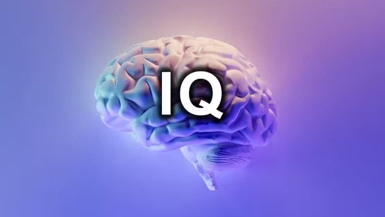Yeni IQ test listesi açıklandı * Türkiye illeri arasında ilk sıra ve zeka seviyesi şaşırtıyor. - Sayfa 2