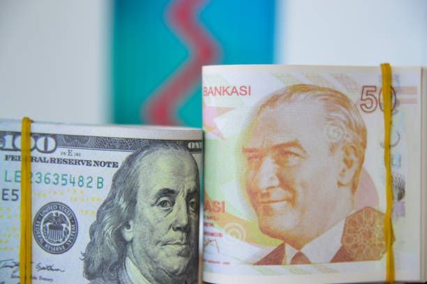 Küresel ekonominin nabzı: Faiz oranları ve döviz kurları arasındaki dans - Sayfa 3