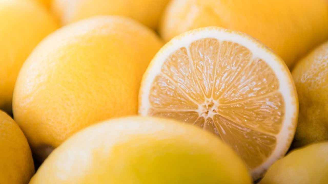 35 yıllık narenciye çiftçisi gizli sırrını paylaştı: Limon kabuklarını çöpe atıyorsanız atmayın - Sayfa 1