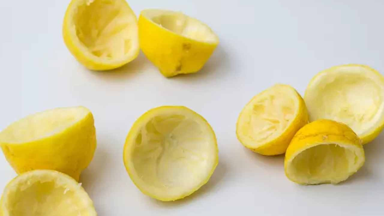 35 yıllık narenciye çiftçisi gizli sırrını paylaştı: Limon kabuklarını çöpe atıyorsanız atmayın - Sayfa 2