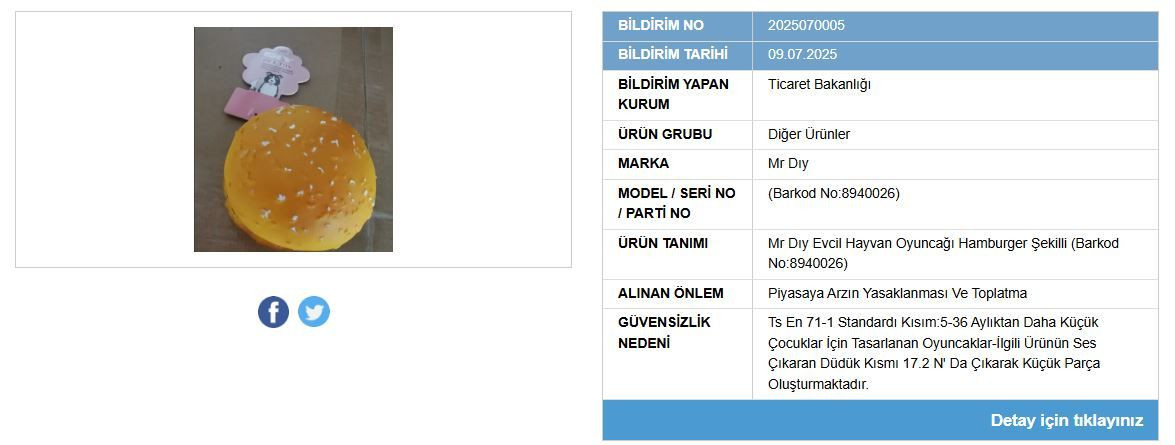 Zara Home, Mr. DIY, D&P... Bakanlık ünlü markaların ürünlerini yasakladı, piyasadan toplatılıyor - Sayfa 6