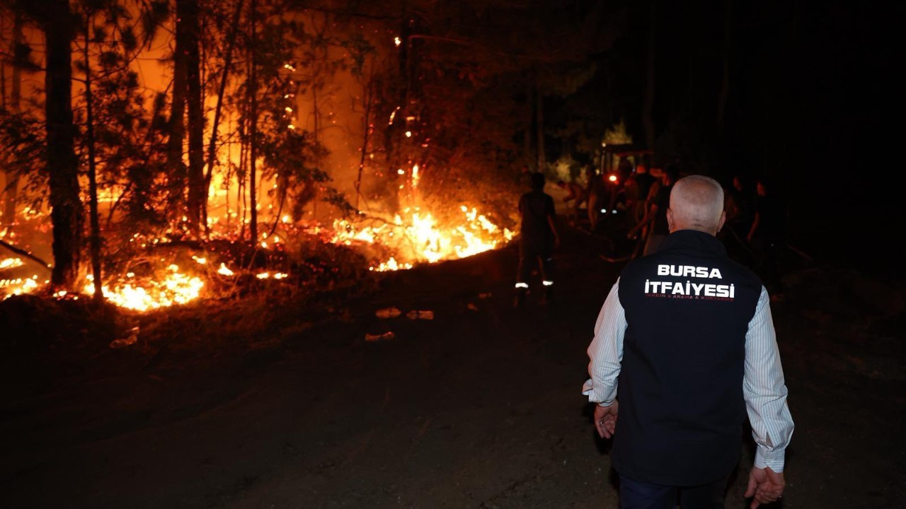 Bursa'da havai fişek atarak orman yangınına sebep olan dört şüpheli gözaltına alındı