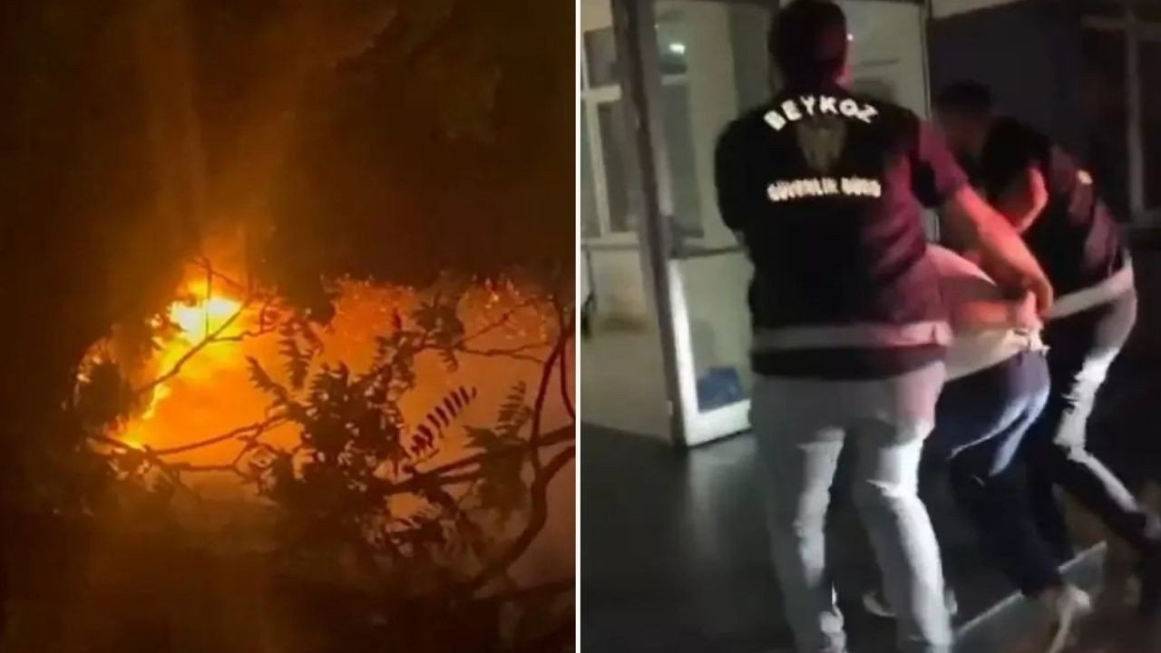 Son dakika... İstanbul Beykoz'da ormanı fişekle yakan kişi tutuklandı!