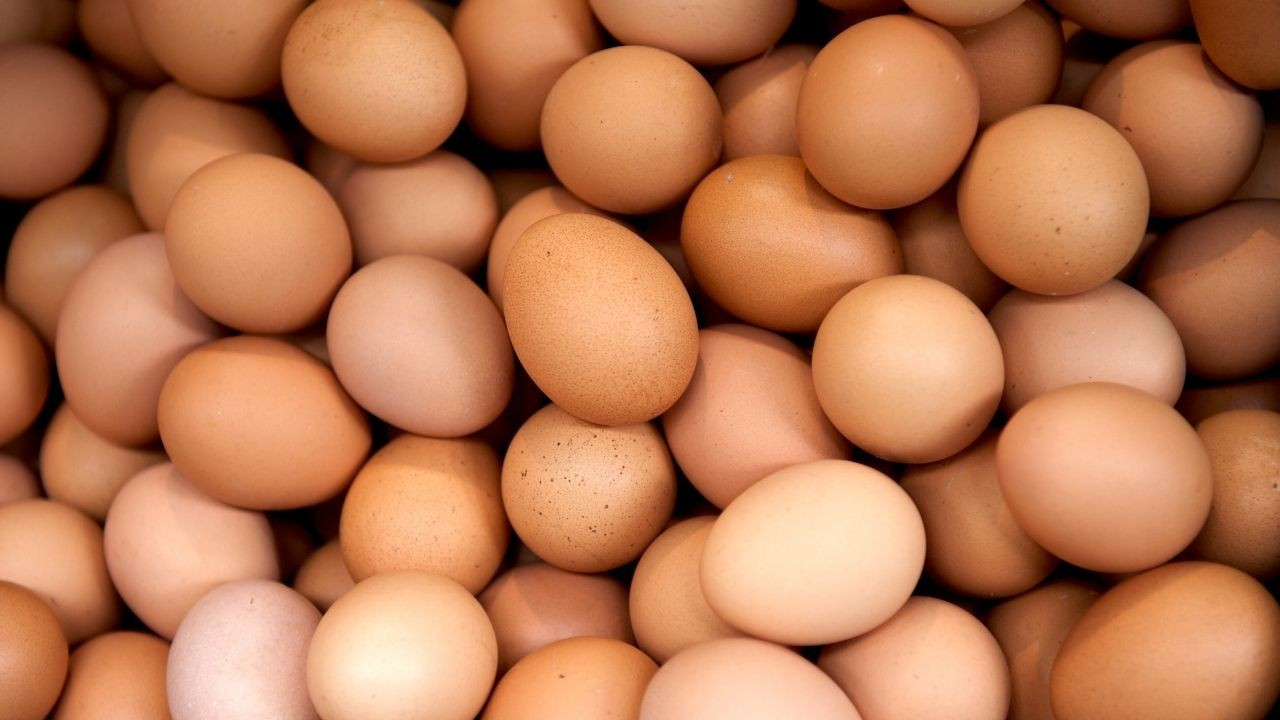 Yumurtada 1.5 dolarlık DFİF kesintisi kaldırıldı! İhracatçıdan ‘kota’ çağrısı geldi