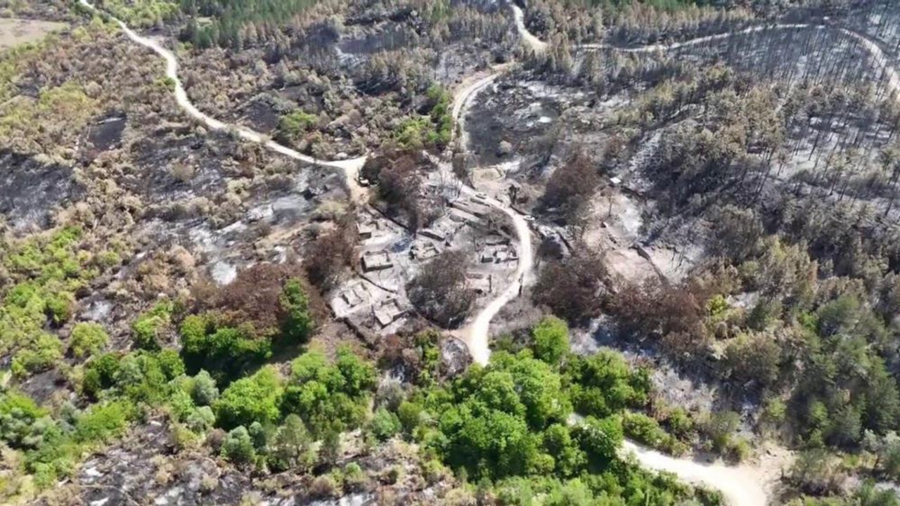Karabük'te orman yangınında köyün bir mahallesi yok oldu