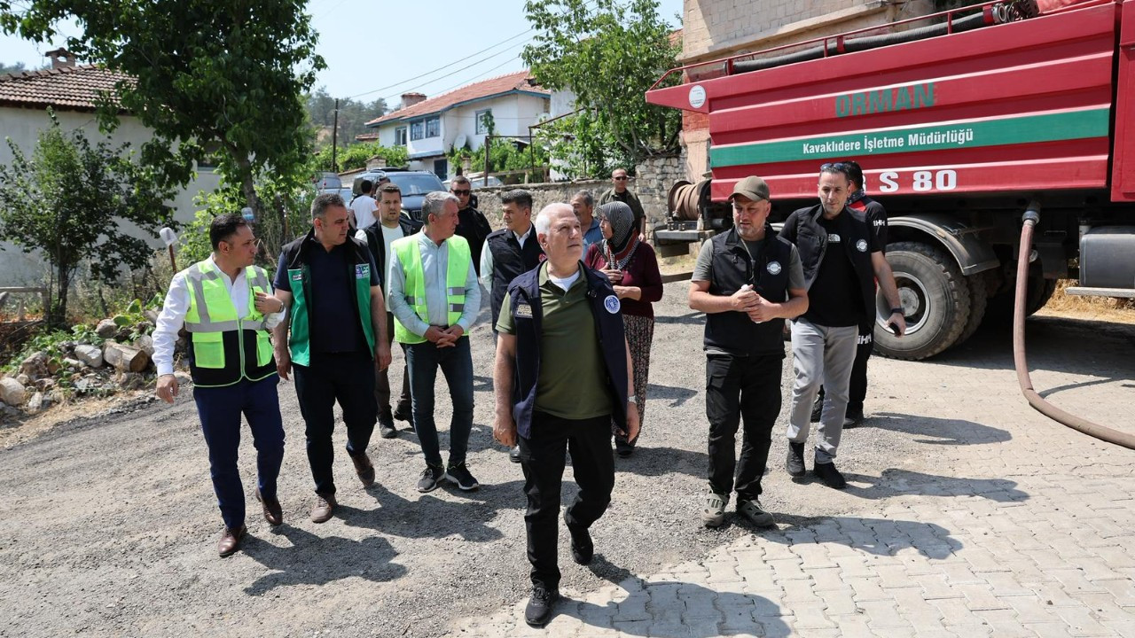 Orman yangınında 3 milyon ağacı kaybettik