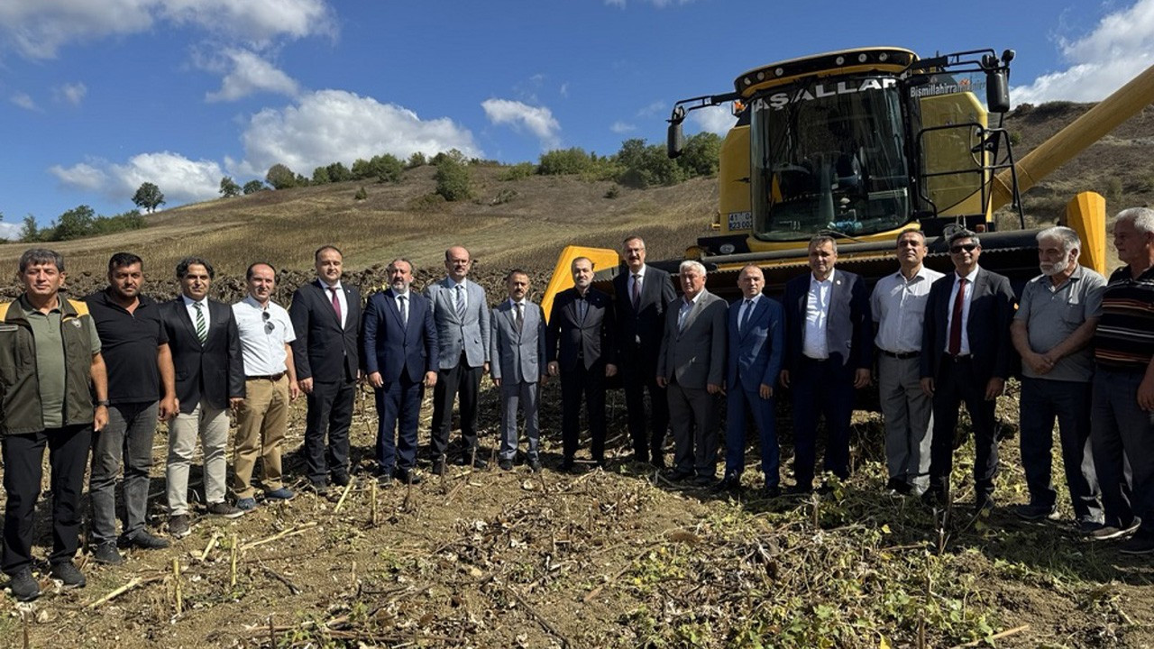 Kocaeli'de Yerli ve Milli Hibrit Ayçiçeği Hasadı Programı gerçekleştirildi