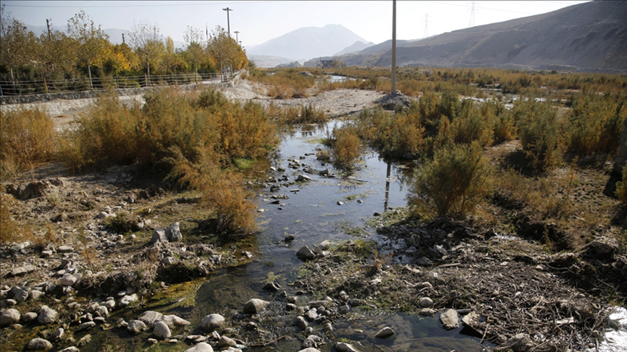 Çarpan etkisi yaratıyor: 1 liralık harcama 15 liralık kaybı engelliyor!