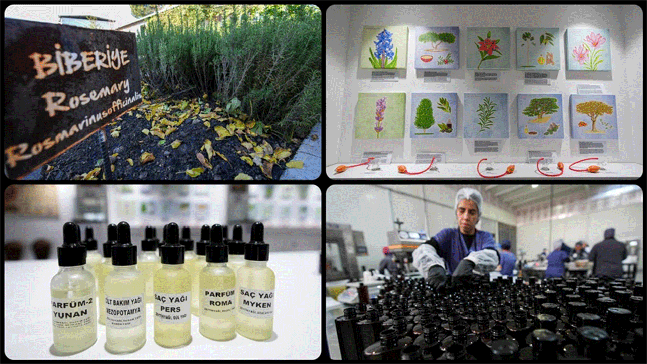 Anadolu’nun geleneksel güzellik tarifleri, Türk kozmetiğinde fırsat yaratıyor