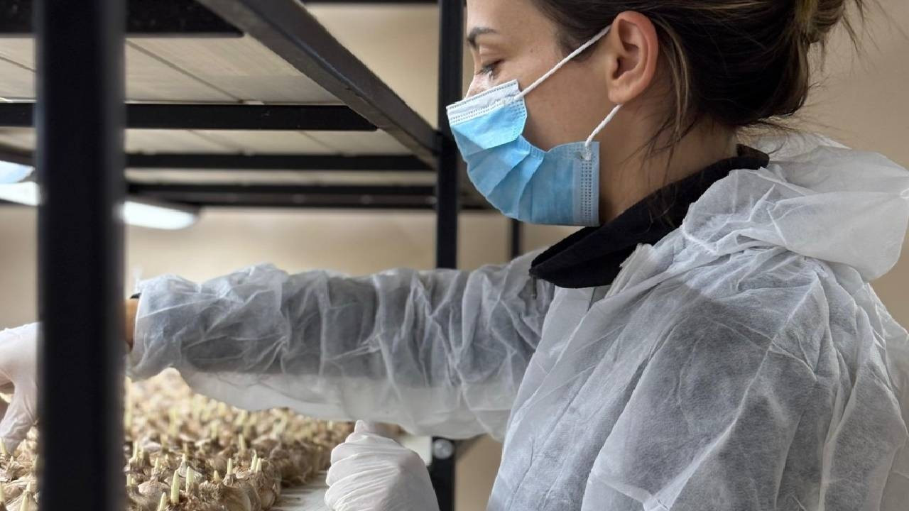 Mesleğinden vazgeçip, onun üretimine başladı: Gramı 700 TL