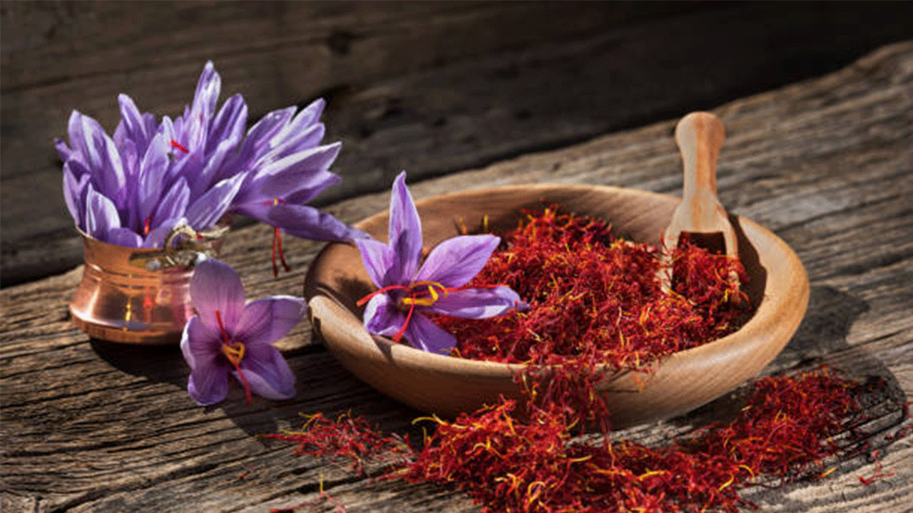 Yüksek getirisiyle safran, Osmaniye’de gözde ürün oldu