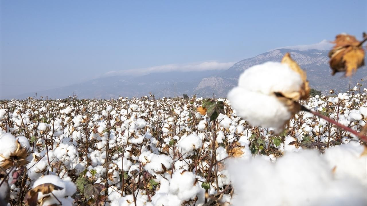 “Üretim maliyetleri artıyor pamukta destek gerekiyor”