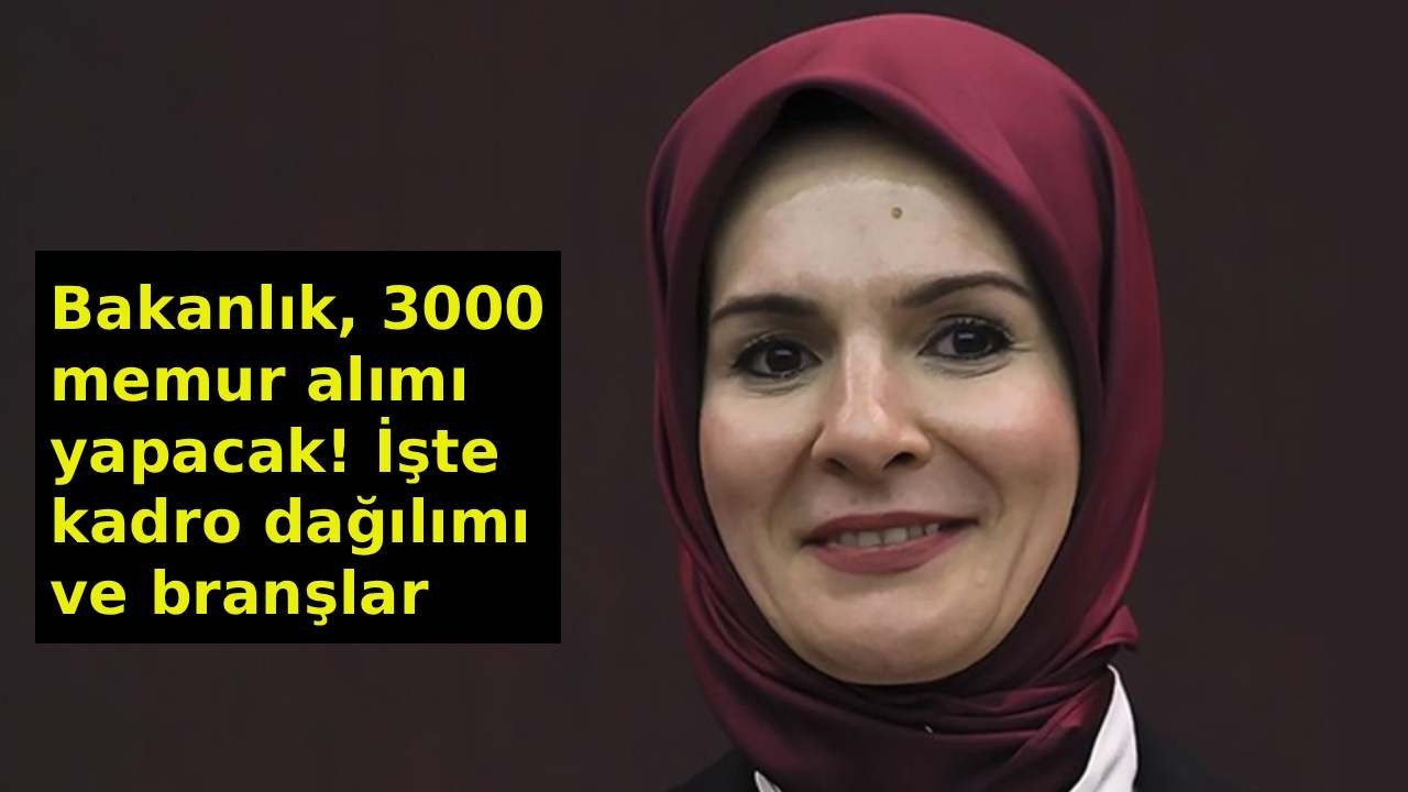 Aile ve Sosyal Hizmetler Bakanlığı memur alımı kadro dağılımı belli oldu; 3000 memur alınacak