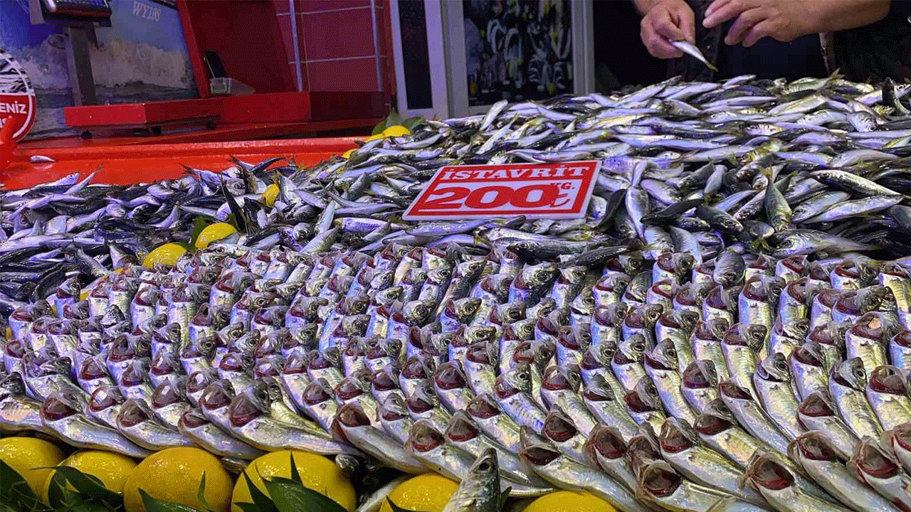 Bolu’da fırtına balık arzını düşürdü, vatandaşlar istavrite yöneldi