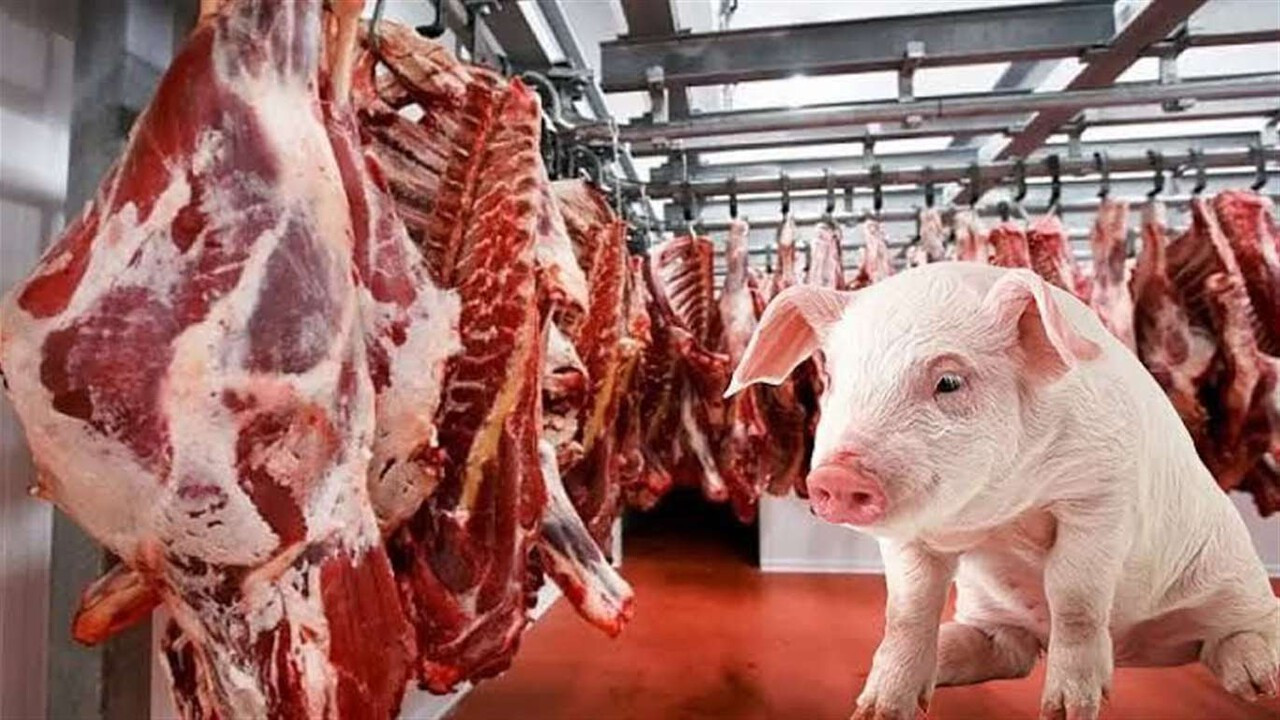 Çin, AB’den ithal domuz eti ve ürünlerine ek gümrük vergisi uygulayacak