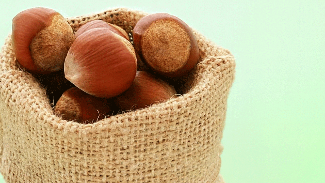 Fındık fiyatlarında düşüş eğilimi sürüyor