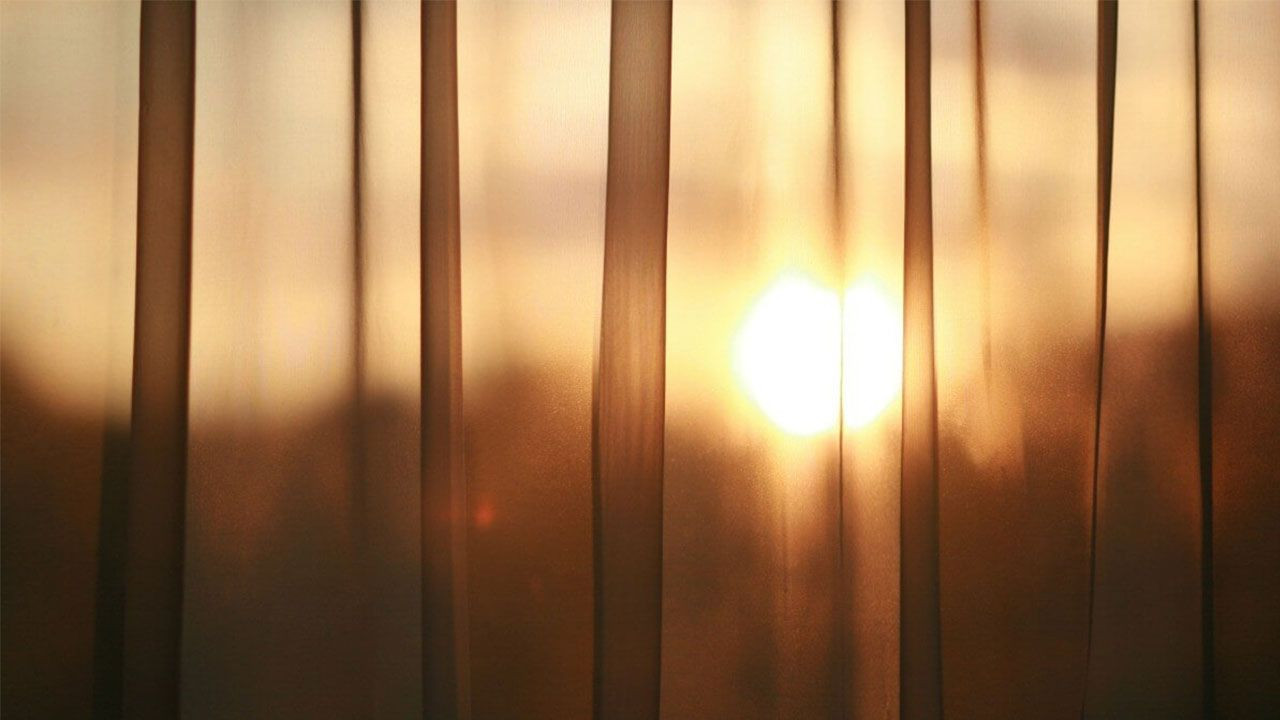 Tarihte bugün: 25 Aralık - Sayfa 5