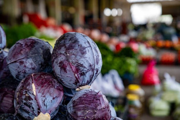 Mor lahanayla sağlıklı yaşamın sırları - Sayfa 5