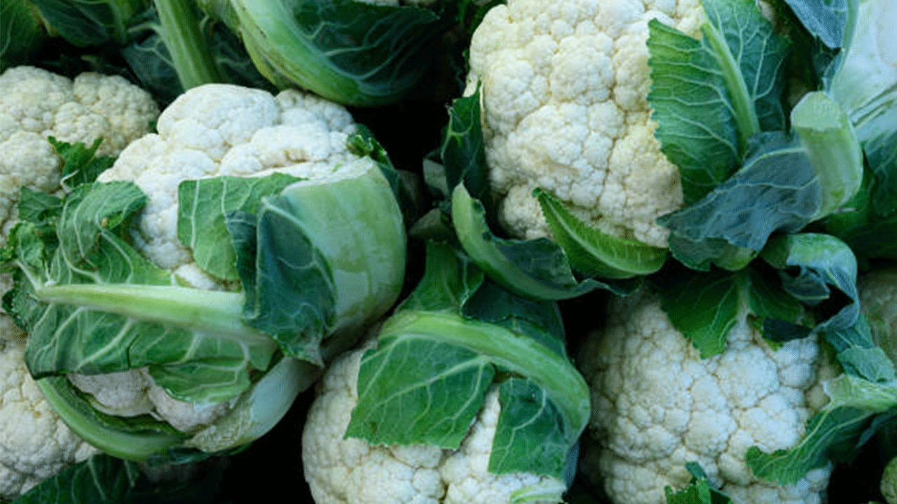 Besin değeriyle öne çıkan kış sebzesi: Karnabahar