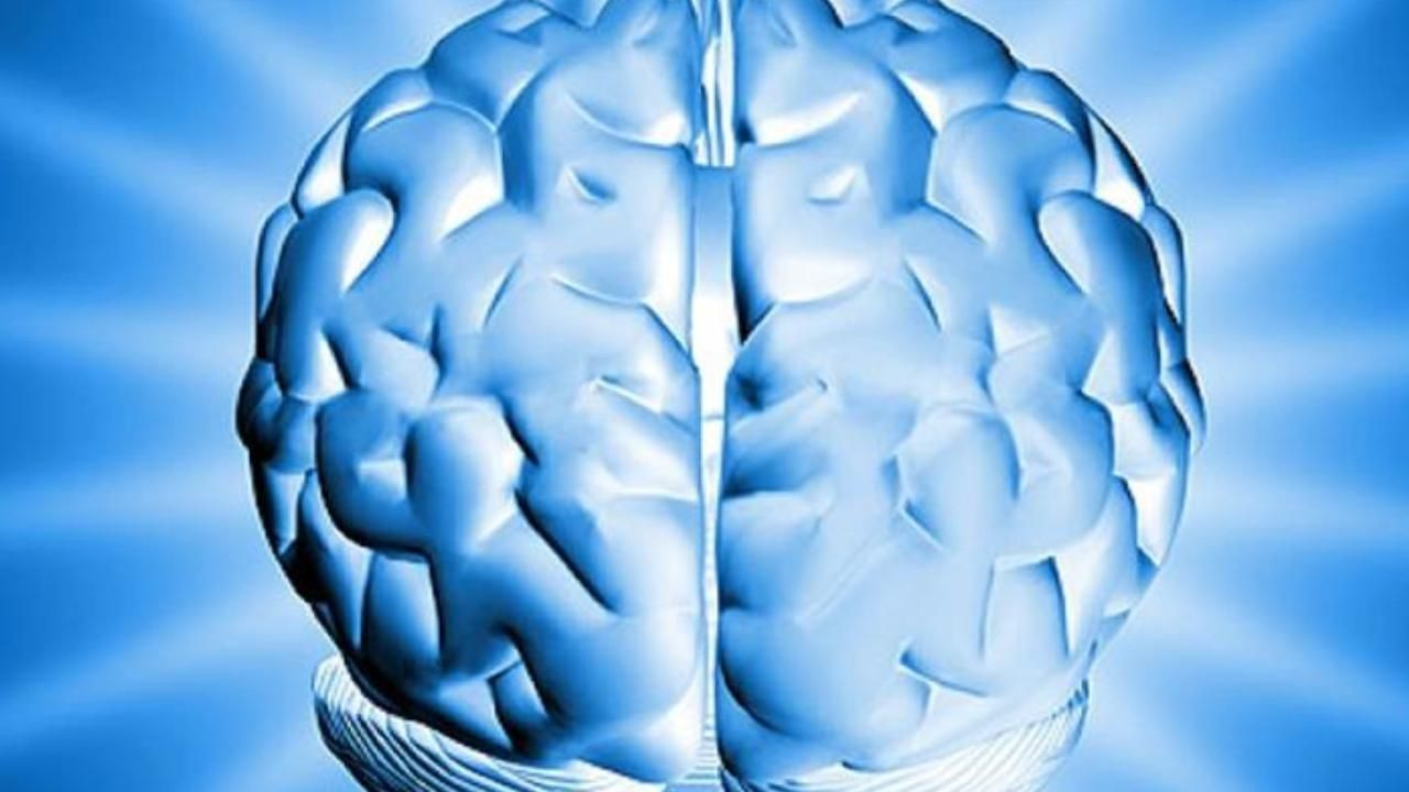 2026 IQ listesi güncellendi! Türkiye'nin IQ ortalaması belli oldu, listedeki yeri değişti - Sayfa 1