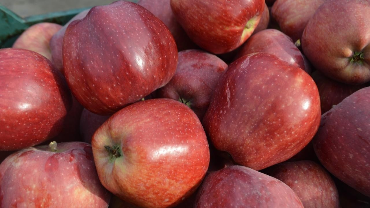 Elmada üretici-market fiyat farkı yüzde 388'e ulaştı