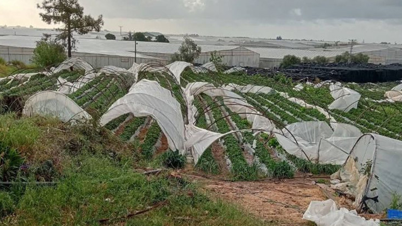 Mersin’de şiddetli fırtına seralara zarar verdi