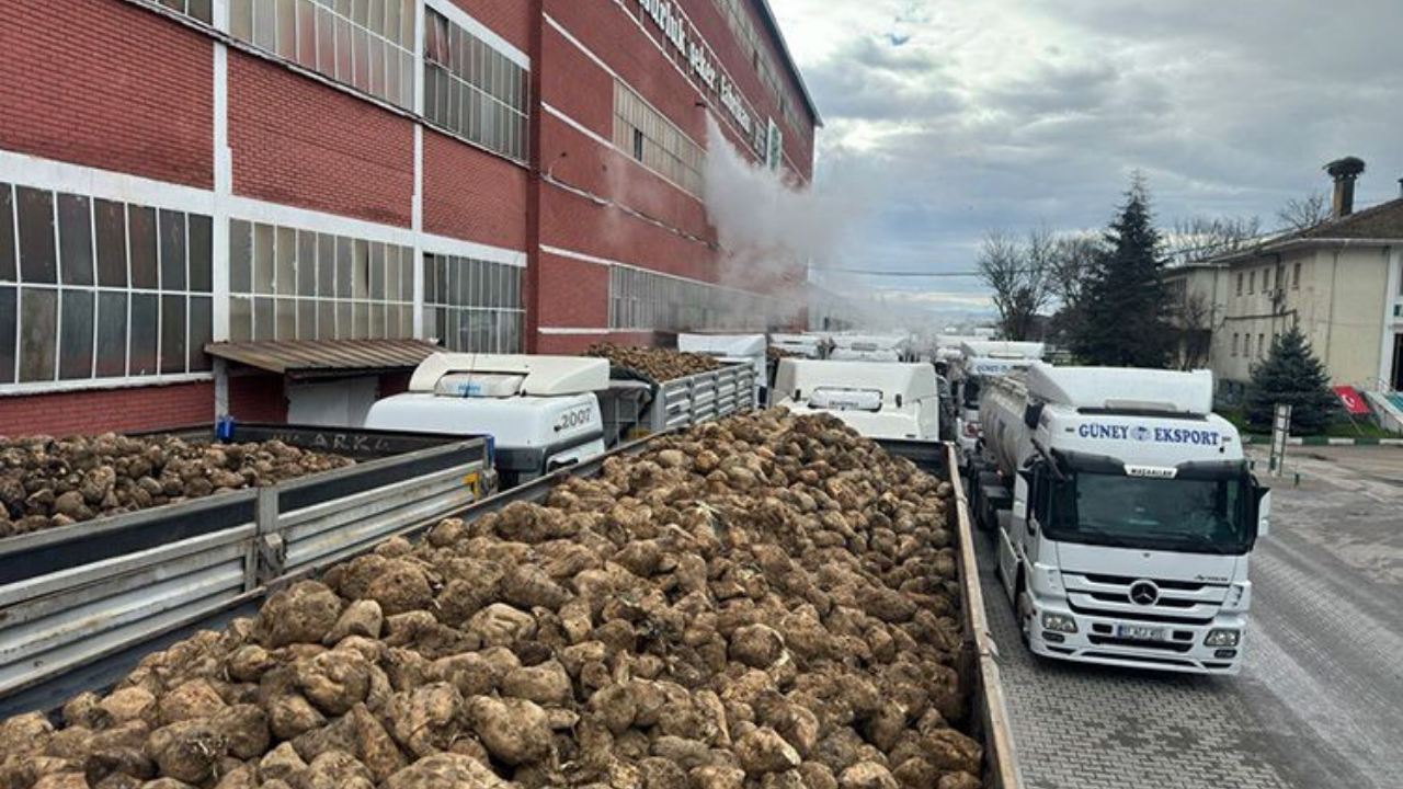 Şekerde arz fazlası fiyatları düşürdü, sözleşmeli üretim tehlikeye girdi