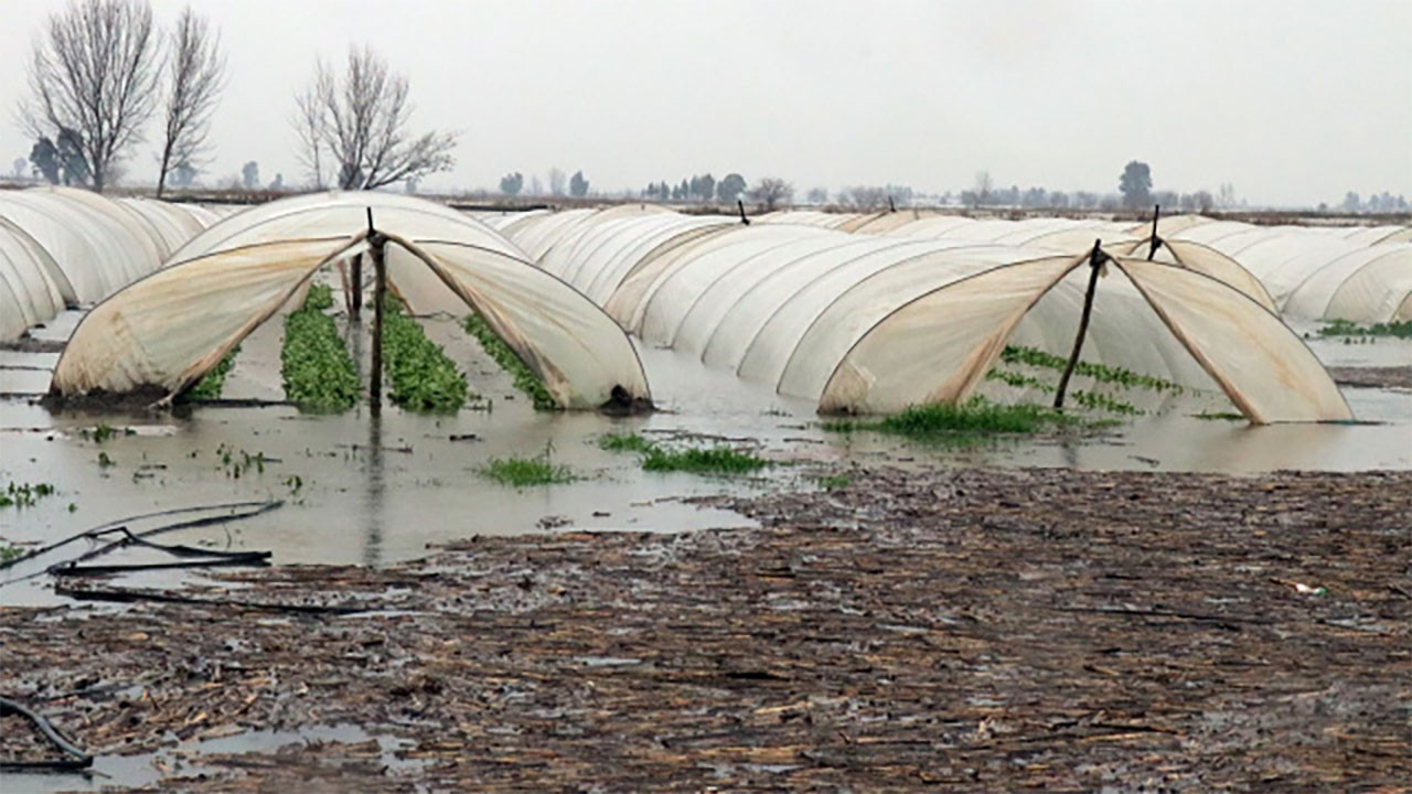 Tarım Sigortaları Havuzuna devlet katkısı oranları belirlendi