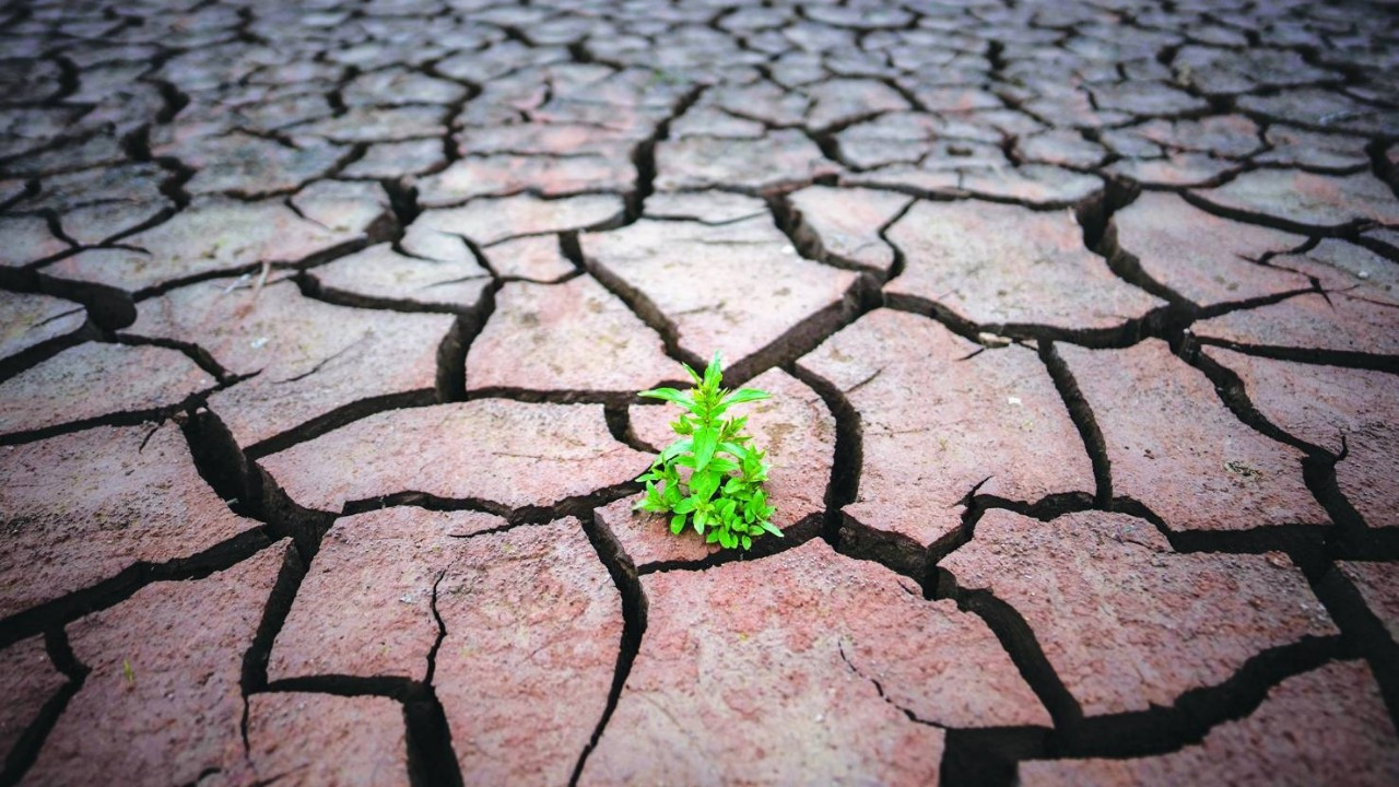 Susuzluğa karşı mücadele faturası asgari 65 milyar dolar olacak