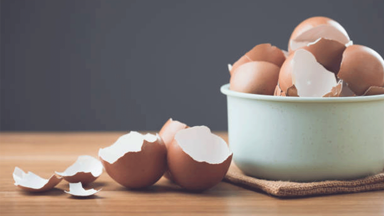 Yumurta kabuklarını sakın çöpe atmayın: Yıllardır en değerli besini israf etmişiz!