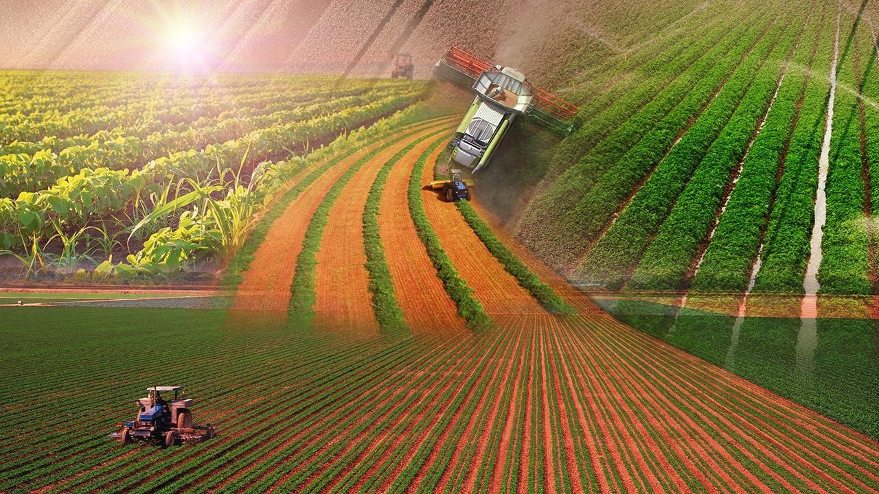 Tarımsal Bilgi Platformu’ndan 11 maddelik acil önlem çağırısı