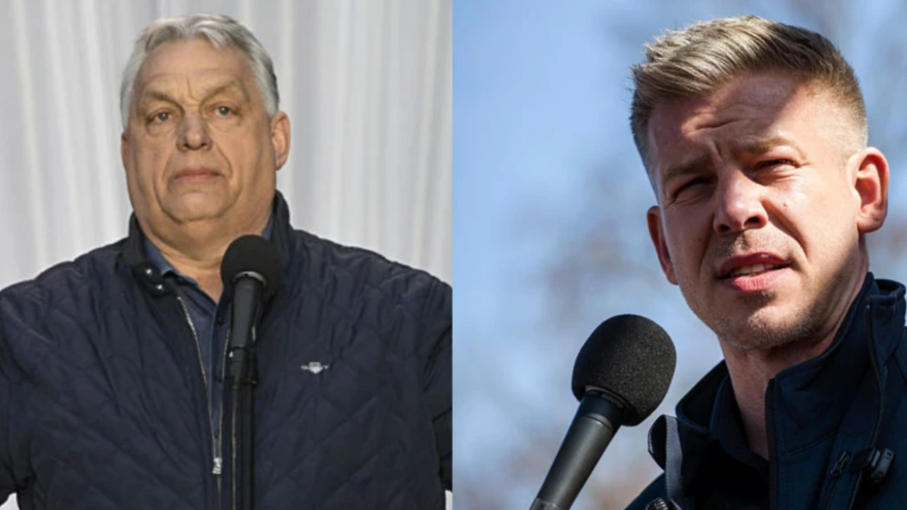 Macaristan sandık başında: Genel seçimler başladı