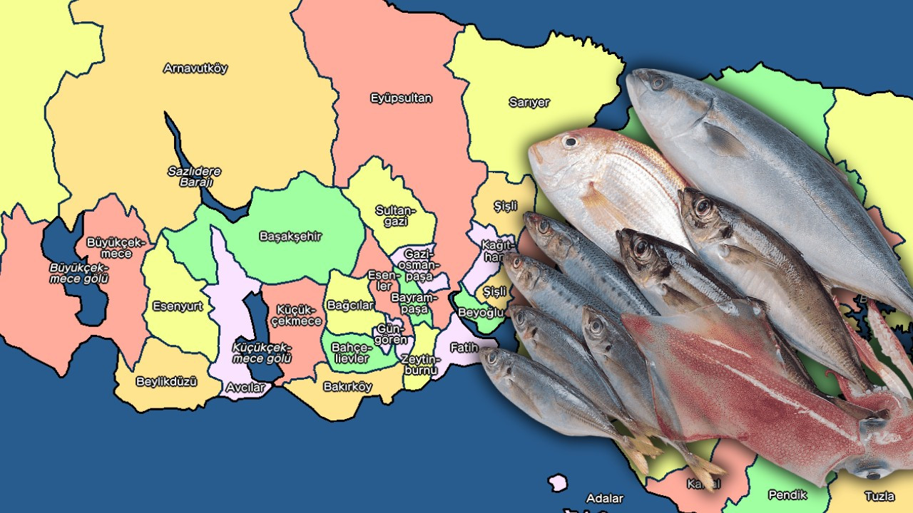 İstanbul’da balık tutulabilecek 27 adres; Bol bol levrek, kefal, istavrit ve mercan çıkıyor.