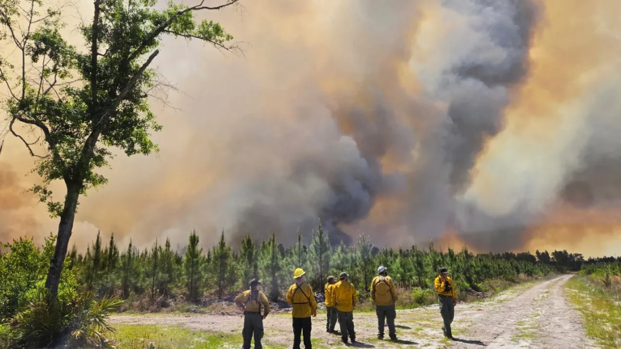 ABD’de orman yangınları: 120'den fazla ev kullanılamaz hale geldi