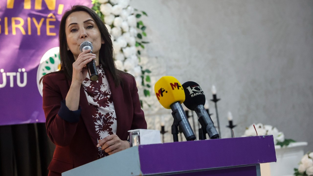 Hatimoğulları: Barış, demokrasi bize altın tepsiyle sunulmayacak