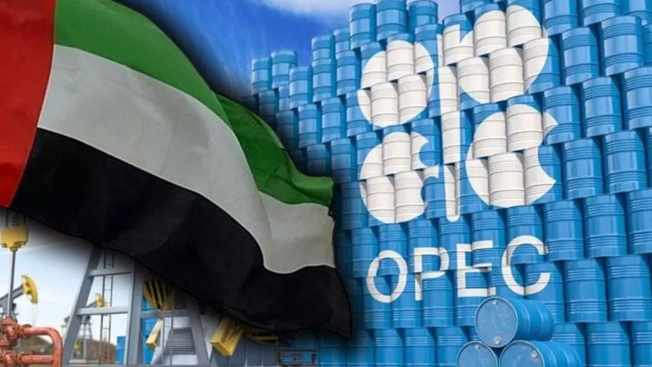 Birleşik Arap Emirlikleri'nin OPEC'ten ayrılma kararı ne anlama geliyor?