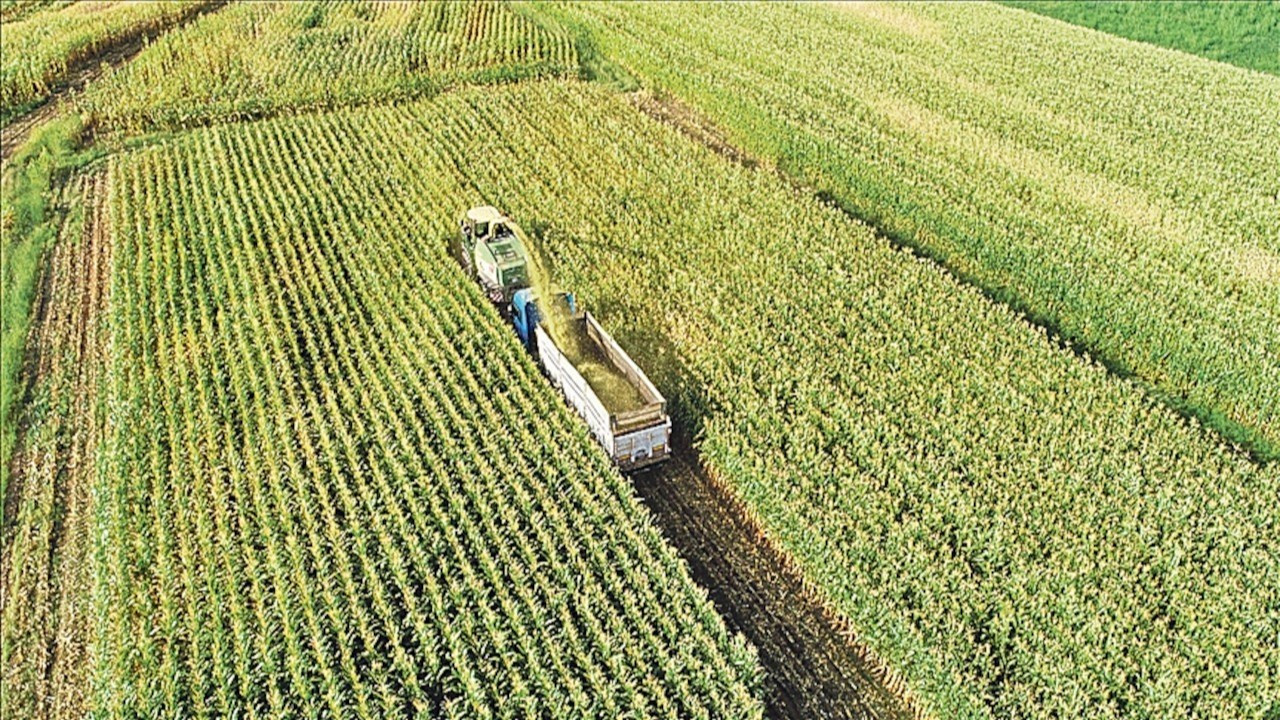 Tarımsal fiyatlarda yeni yükseliş dalgası