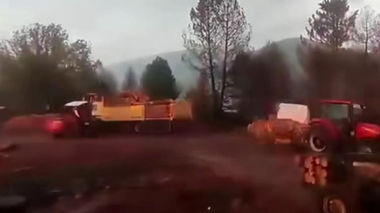 Orman işçilerinin yanına yıldırım düştü: İşte o anlar (Video)