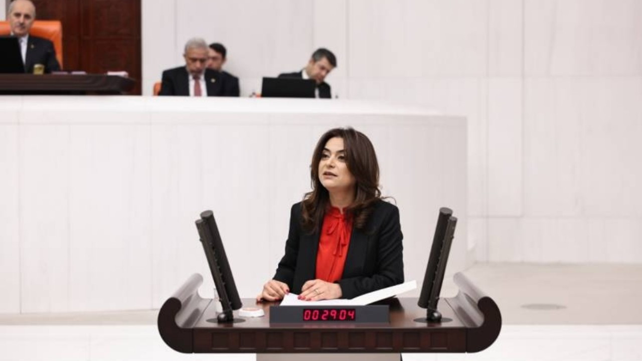 DEM Parti'den 'Turkomania Fest' çağrısı: Derhal soruşturma başlatılmalı