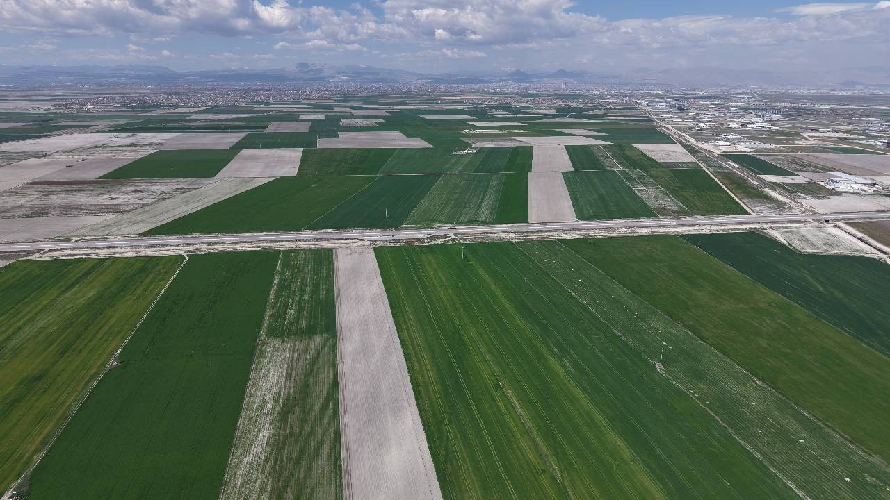 Konya Ovası’nda Cumhuriyet tarihinin en yüksek rekoltesi bekleniyor