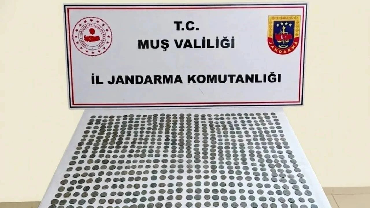 Muş'ta 749 sikke ele geçirildi, 4 kişi gözaltına alındı