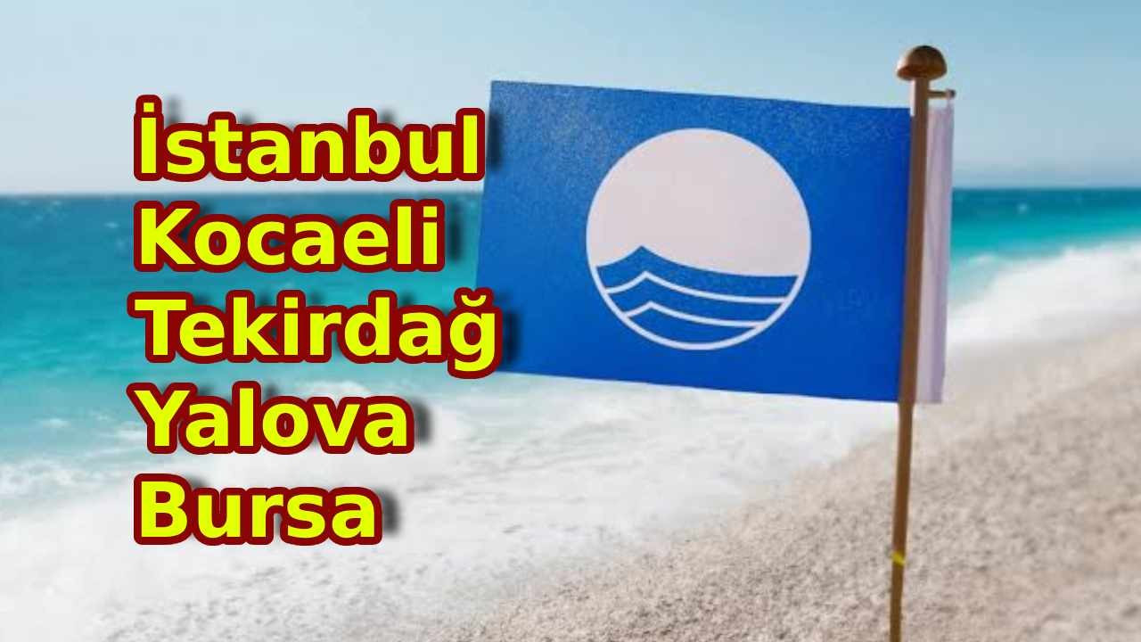 İstanbul, Kocaeli, Tekirdağ, Yalova, Bursa... İşte tüm mavi bayrak ödüllü plajlar listesi